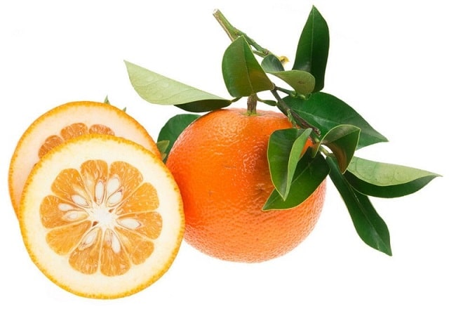 bitter orange sau portocala amara