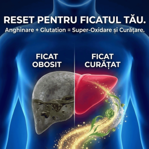 Detox10-body-line-capsule-detoxifiere