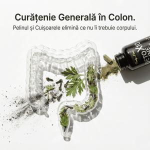Detox10-body-line-capsule-detoxifiere