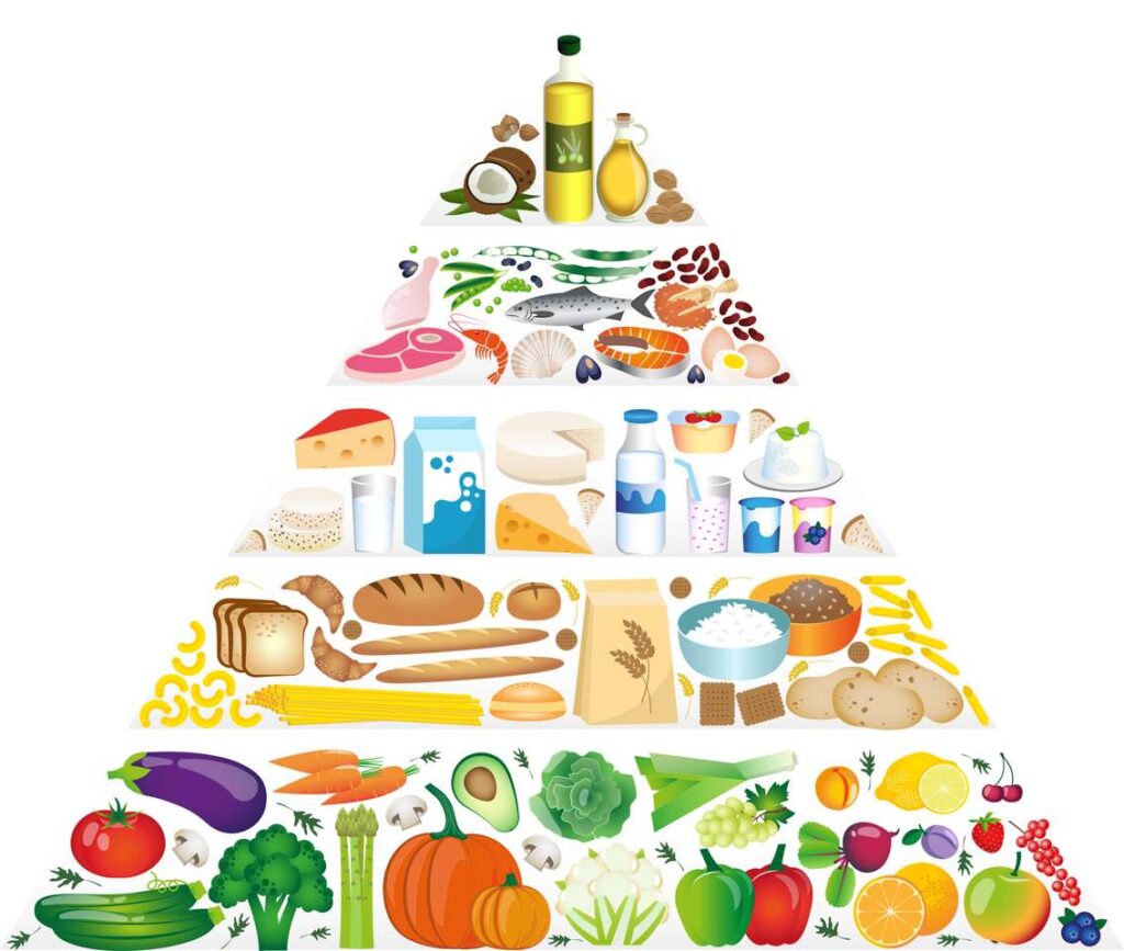 piramida alimentelor3