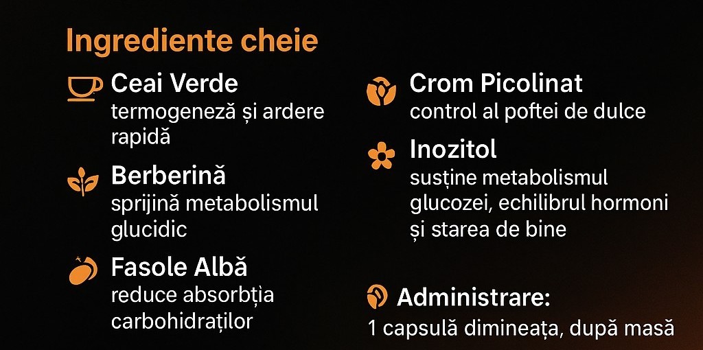 Fat Burner x10 Faza 2 ingrediente cheie - banner