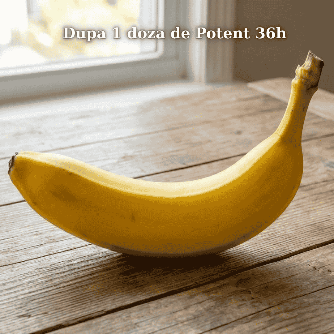 Dupa 1 Capsula de Potent 36h